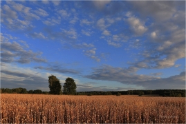 <p>Šluknovsko - Jiříkov</p>
